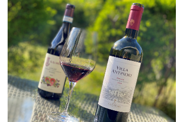 Klassisk og flot Toscana-vin fra vinhuset Antinori