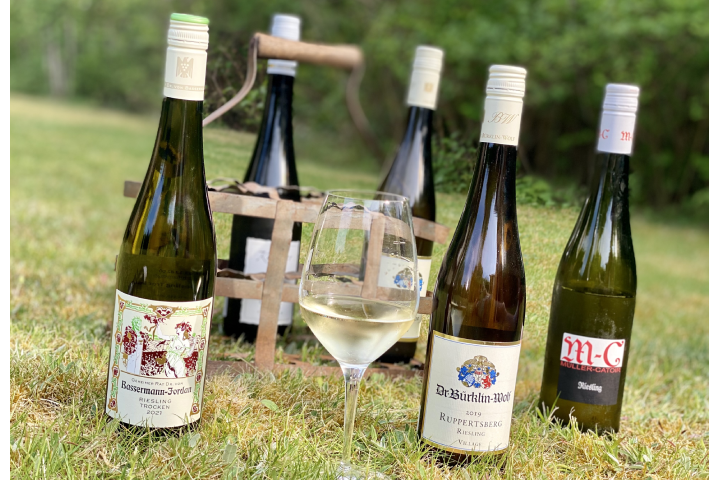Test af tysk riesling til under 200 kroner
