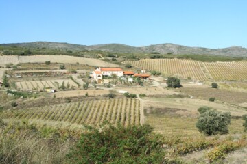 Roussillon, andet end udvandet frikadellevin