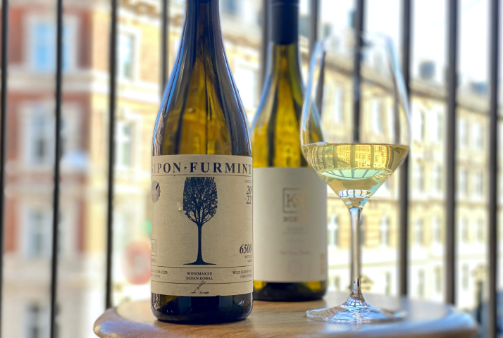 Review Kobal Sipon Furmint anmeldelse