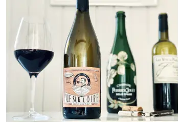Saftig og fløjlsblød cabernet franc fra Bruno Dubois i Loire