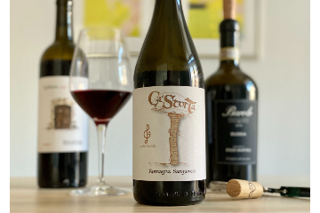 Flot rødvin på sangiovese fra Romagna