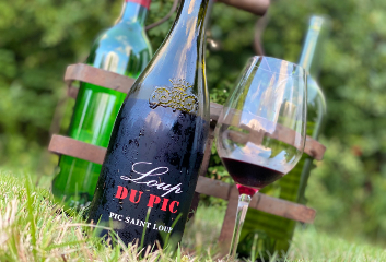Elegant vin fra Puech-Haut i det sydfranske Pic Saint Loup