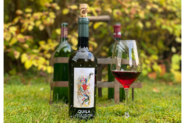 Fremragende Langhe-vine fra Quila